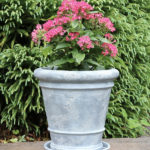 classic planter