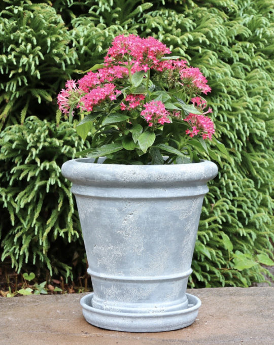 classic planter gallery 2