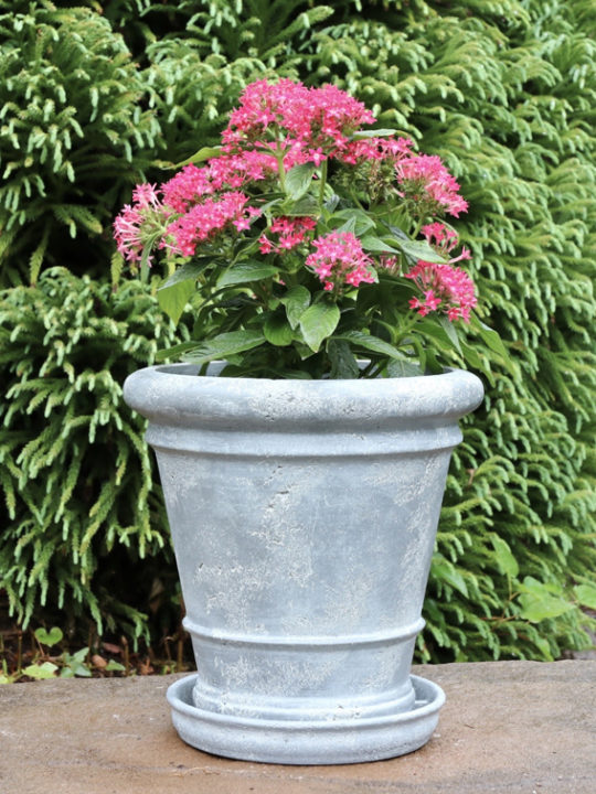 classic planter gallery 2