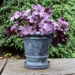 classic planter