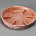 saucer